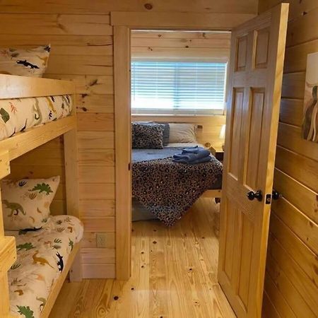 אשבורו Serene 1Br Cabin Near Nc Z00 With Loft & Waterview מראה חיצוני תמונה